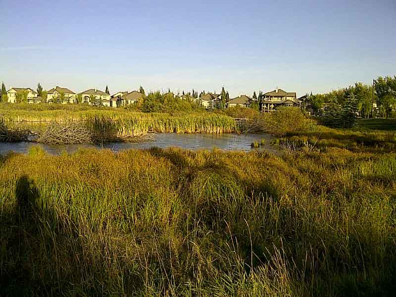 Edmonton-Whitemud-Ridge-HOA-2